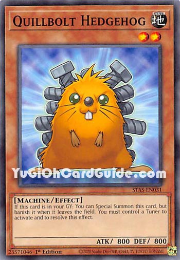 Yu-Gi-Oh Card: Quillbolt Hedgehog