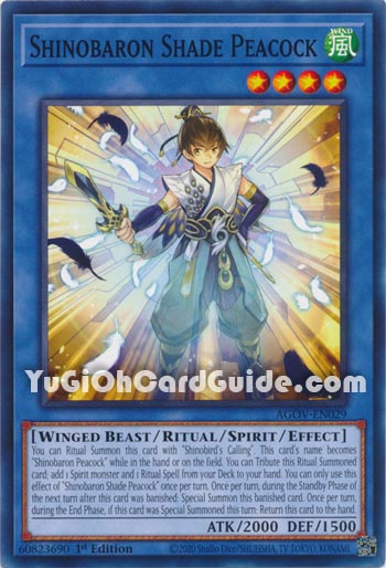 Yu-Gi-Oh Card: Shinobaron Shade Peacock