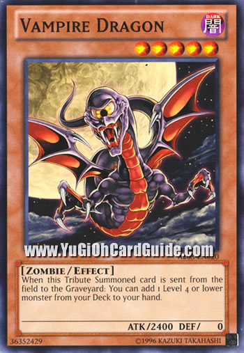 Yu-Gi-Oh Card: Vampire Dragon