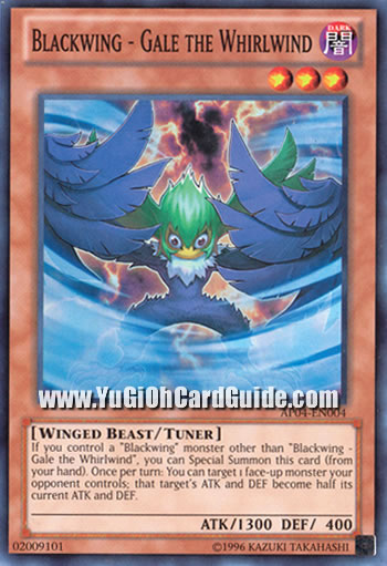 Yu-Gi-Oh! Karte 'Blackwing – Gale The Whirlwind' – Gold Rare Sammlerkarte Aus Der Premium Gold Serie
