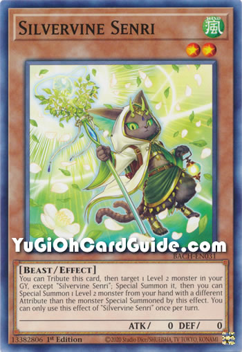 Yu-Gi-Oh Card: Silvervine Senri