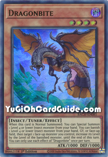 Yu-Gi-Oh Card: Dragonbite
