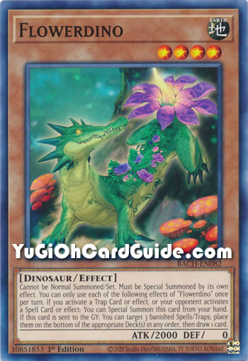 Yu-Gi-Oh Card: Flowerdino
