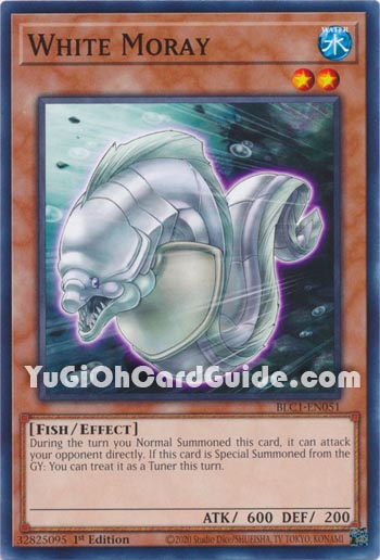 Yu-Gi-Oh Card: White Moray