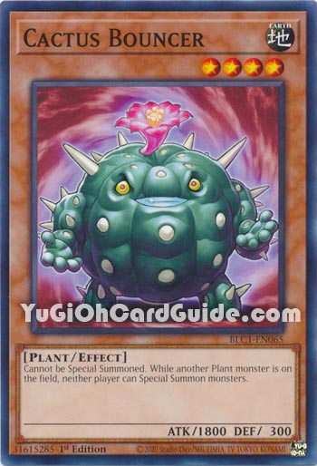 Yu-Gi-Oh Card: Cactus Bouncer