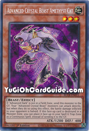 Yu Gi Oh Advanced Crystal Beast Amethyst Cat