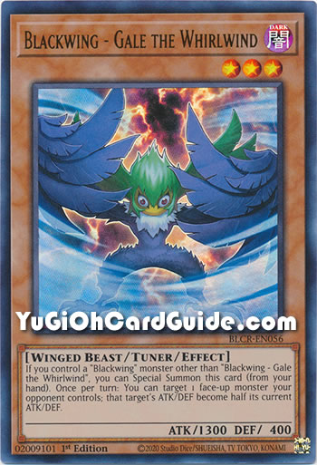 Yu-Gi-Oh Card: Blackwing - Gale the Whirlwind