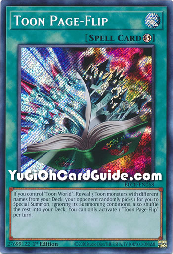 Yu-Gi-Oh Card: Toon Page-Flip