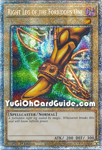 Yu-Gi-Oh Card: Right Leg of the Forbidden One