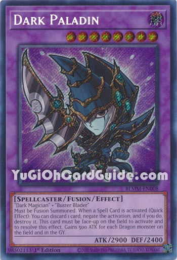 Yu-Gi-Oh Card: Dark Paladin
