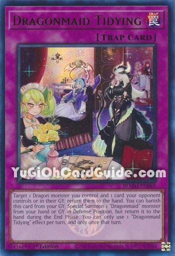 Yu-Gi-Oh Card: Dragonmaid Tidying