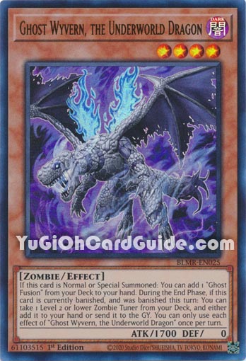 Yu-Gi-Oh Card: Ghost Wyvern, The Underworld Dragon