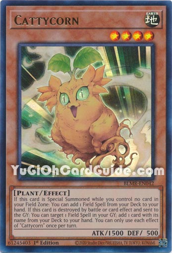 Yu-Gi-Oh Card: Cattycorn