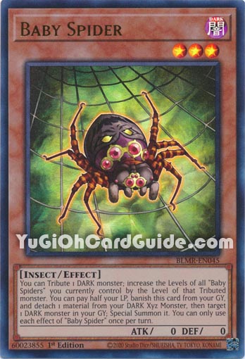 Yu-Gi-Oh Card: Baby Spider