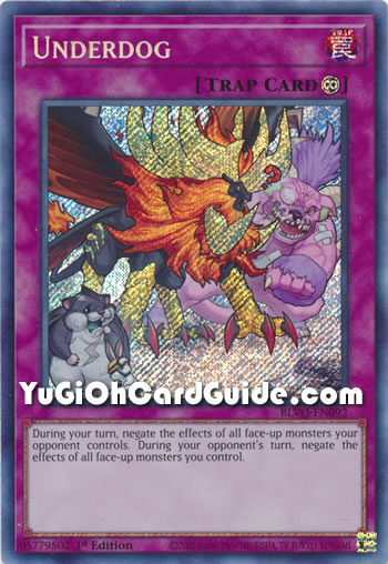 Yu-Gi-Oh Card: Underdog