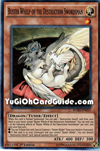 Yu-Gi-Oh Card: Buster Whelp of the Destruction Swordsman