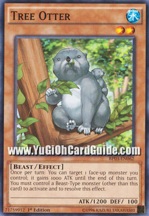Yu-Gi-Oh Card: Tree Otter