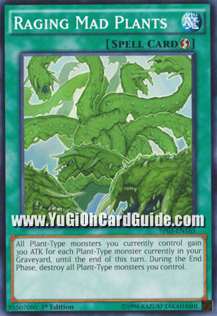 Yu-Gi-Oh Card: Raging Mad Plants