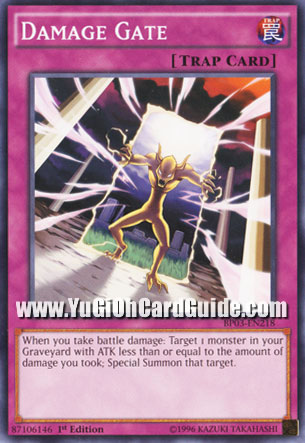 Yu-Gi-Oh Card: Damage Gate