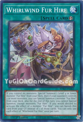 Yu-Gi-Oh Card: Whirlwind Fur Hire