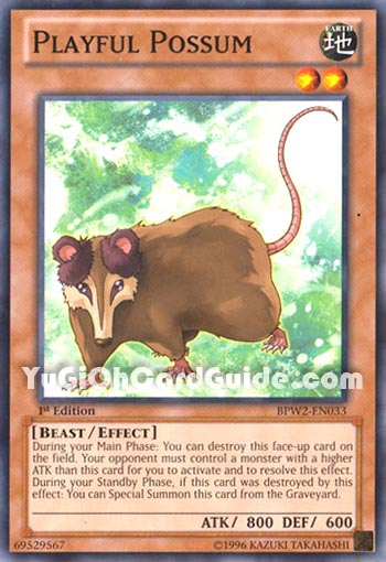Yu-Gi-Oh Card: Playful Possum