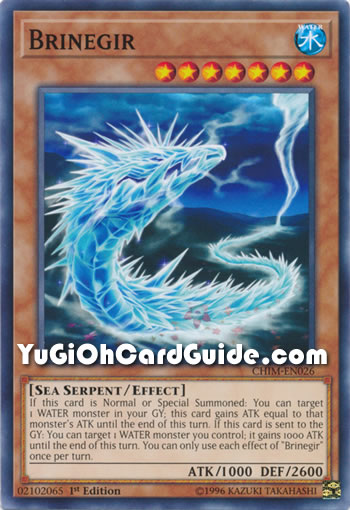 Yu-Gi-Oh Card: Brinegir