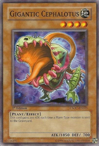Yu-Gi-Oh Card: Gigantic Cephalotus