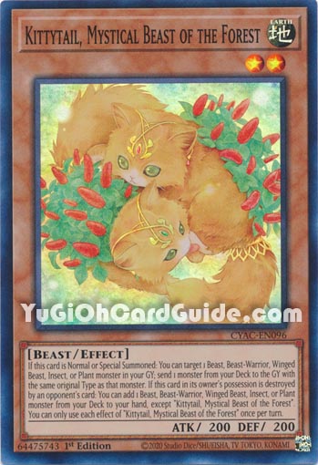 Yu-Gi-Oh Card: Kittytail, Mystical Beast of the Forest