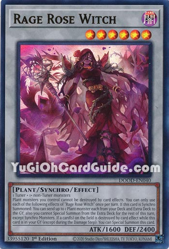 Yu-Gi-Oh Card: Rage Rose Witch