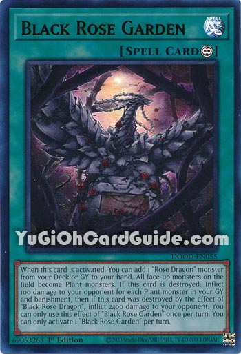 Yu-Gi-Oh Card: Black Rose Garden