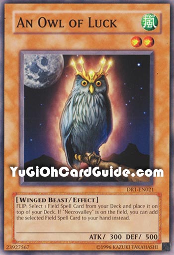 Yu-Gi-Oh Card: An Owl of Luck