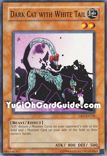 Yu-Gi-Oh Card: Dark Cat with White Tail