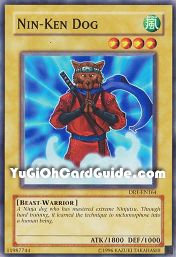 Yu-Gi-Oh Card: Nin-Ken Dog