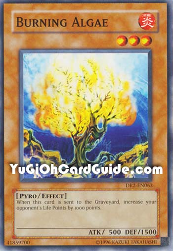 Yu-Gi-Oh Card: Burning Algae