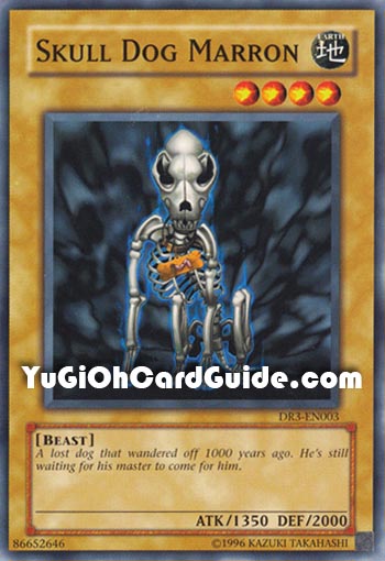 Yu-Gi-Oh Card: Skull Dog Marron