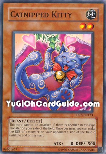 Yu-Gi-Oh Card: Catnipped Kitty