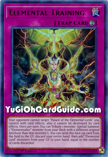 Yu-Gi-Oh Card: Elemental Training