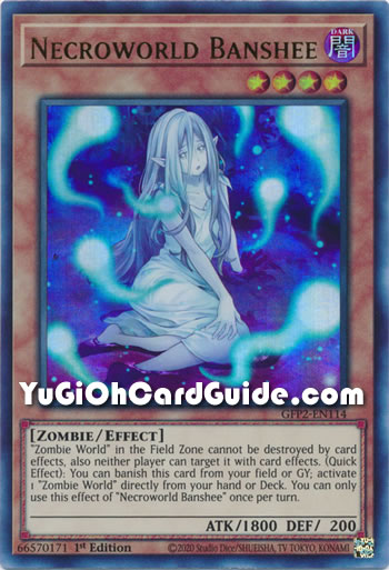 Yu-Gi-Oh Card: Necroworld Banshee