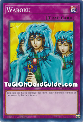 Yu-Gi-Oh Card: Waboku