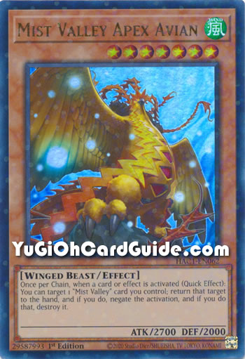 Yu-Gi-Oh Card: Mist Valley Apex Avian