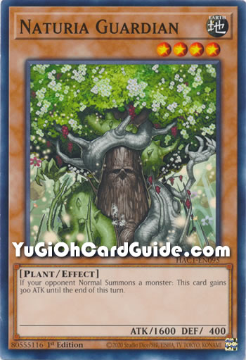 Yu-Gi-Oh Card: Naturia Guardian