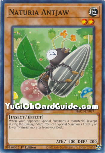 Yu-Gi-Oh Card: Naturia Antjaw