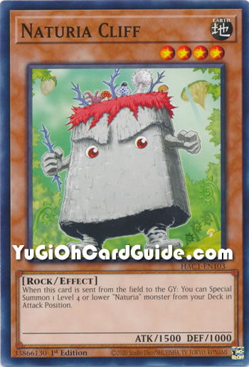 Yu-Gi-Oh Card: Naturia Cliff