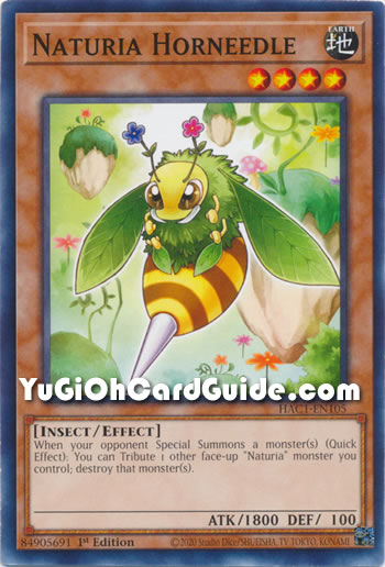 Yu-Gi-Oh Card: Naturia Horneedle