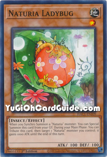 Yu-Gi-Oh Card: Naturia Ladybug