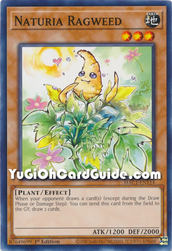 Yu-Gi-Oh Card: Naturia Ragweed