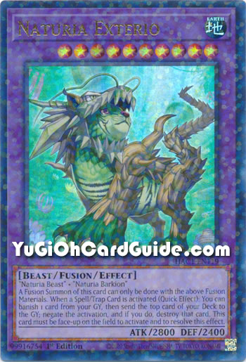 Yu-Gi-Oh Card: Naturia Exterio