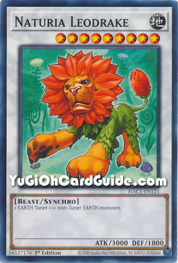 Yu-Gi-Oh Card: Naturia Leodrake
