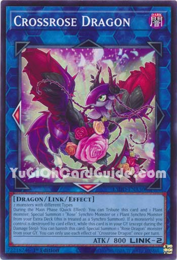 Yu-Gi-Oh Card: Crossrose Dragon