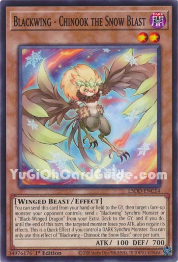 Yu-Gi-Oh Card: Blackwing - Chinook the Snow Blast